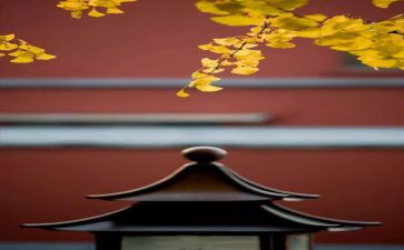 8月述职报告6篇