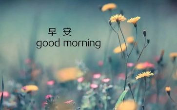 8月活动方案优质6篇