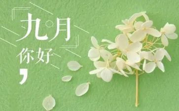 幼儿园教师9月份工作总结最新6篇
