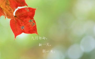 2024年9月党日活动总结模板8篇