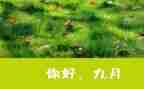 1至9月份的工作总结5篇
