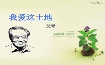 艾青的诗和读后感优质5篇