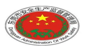 安监室年度工作总结6篇