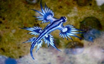 生物老师的工作计划优质8篇