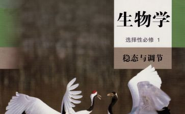 初中生物上学期工作计划8篇
