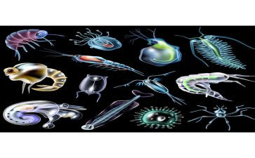 八上生物教研工作计划推荐5篇