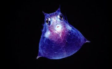 八上生物教研工作计划6篇