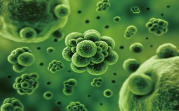 生物组备课工作计划7篇