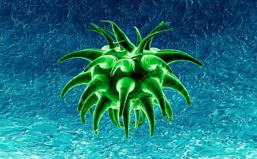 生物和环境关系教学反思8篇