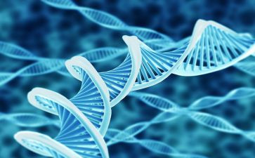 生物教研活动总结6篇