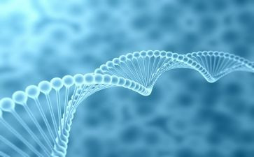 高二上学期生物工作计划8篇