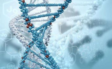 高中生物个人计划工作计划6篇