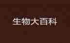 生物教师高中学期工作总结8篇