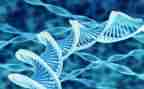 表的生物教学反思通用7篇