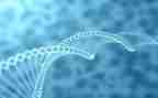高二上学期生物工作计划8篇