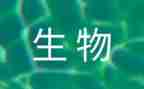 初中生物上学期工作总结5篇
