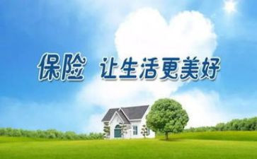 保险销售年终总结8篇