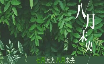 八月份教师工作总结5篇