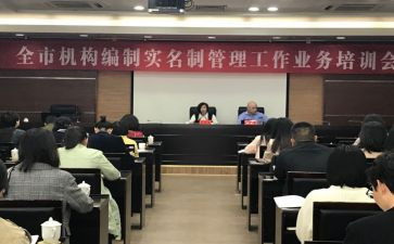 编办述职报告7篇