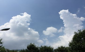 东至的变化作文最新8篇