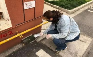 学校病媒工作计划5篇