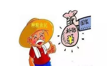补贴申请书范文最新8篇