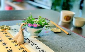 与众不同的我作文500字作文精选6篇