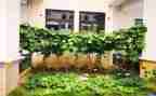 蔬菜的调查报告5篇