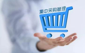 采购办年终个人总结范文6篇