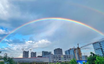 哇!彩虹桥教案7篇