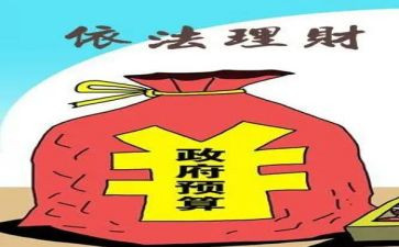 财政所上半年工作总结和下半年工作计划8篇