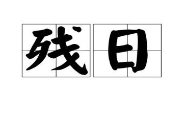全国助残日活动总结报告6篇
