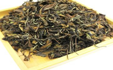 茶与我的生活心得体会6篇