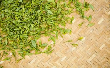 茶工作总结最新5篇