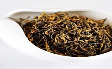 茶主题活动方案通用6篇