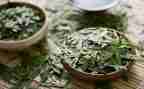 茶企业工作总结范文优质7篇