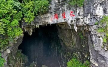 我的长生果,作文8篇