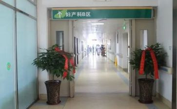 产科医师年度工作总结8篇