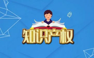 知识产权壳心得体会8篇