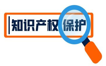 知识产权保护月活动总结5篇
