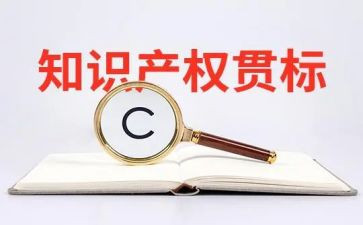 小学生知识产权演讲稿6篇