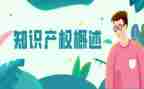 知识产权股工作总结优质7篇