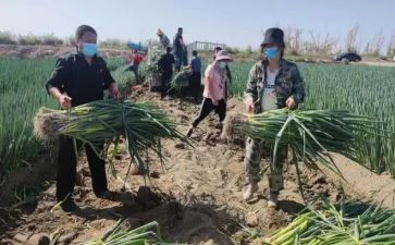 房产销售的述职报告推荐6篇