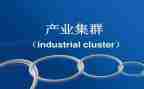 羊子产业发展调研报告5篇