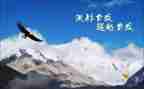 超越自我演讲稿推荐7篇