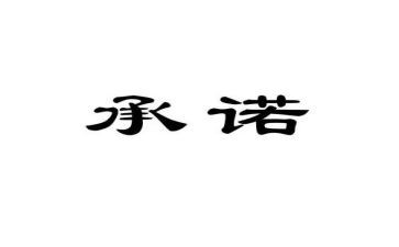 安全承诺书6篇