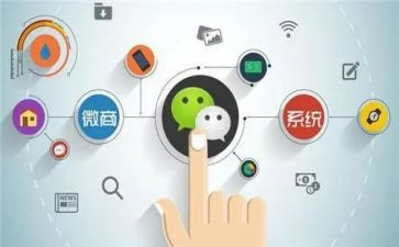 程序设计社心得体会6篇