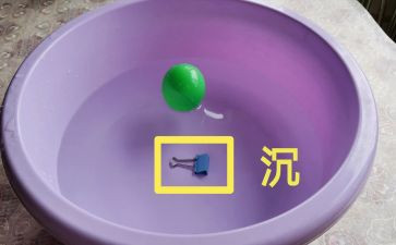沉与浮大班教案及反思精选7篇