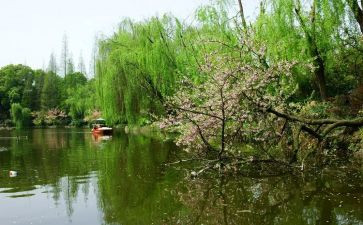 2024年春节工作总结推荐8篇