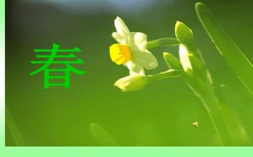 2024年春节工作总结7篇